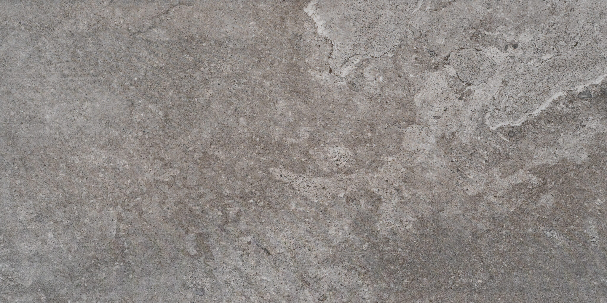 Dune Louisville Tile